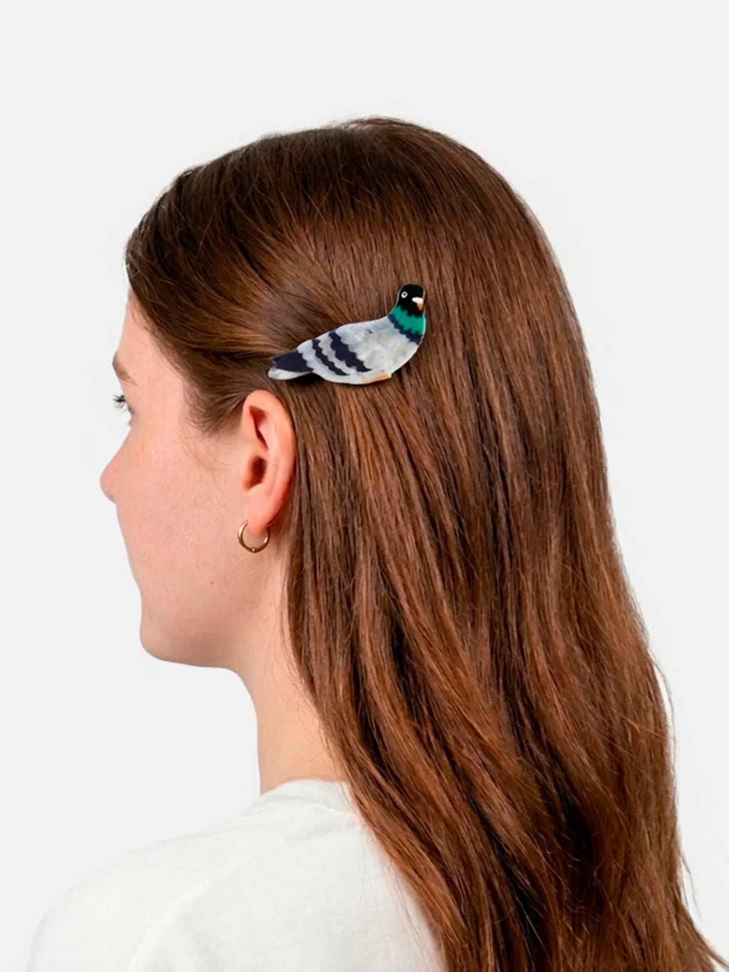 Barrette pigeon