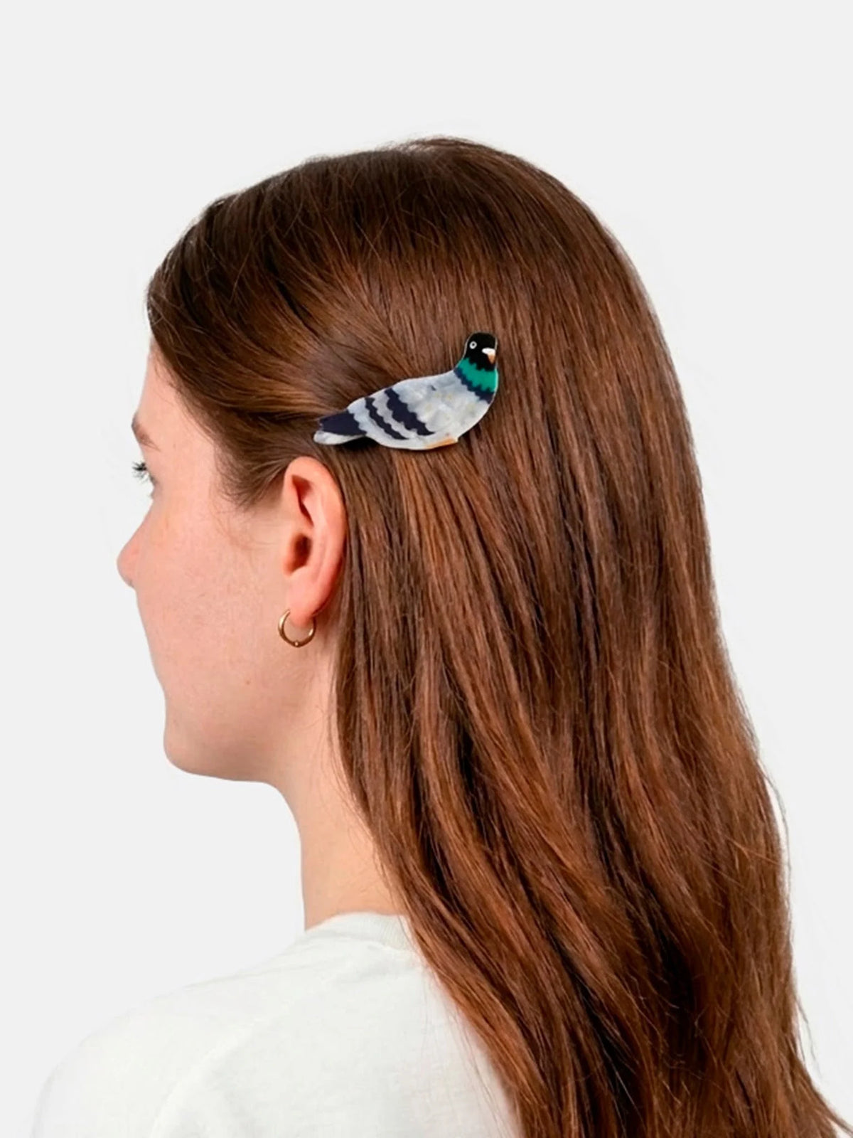 Barrette pigeon