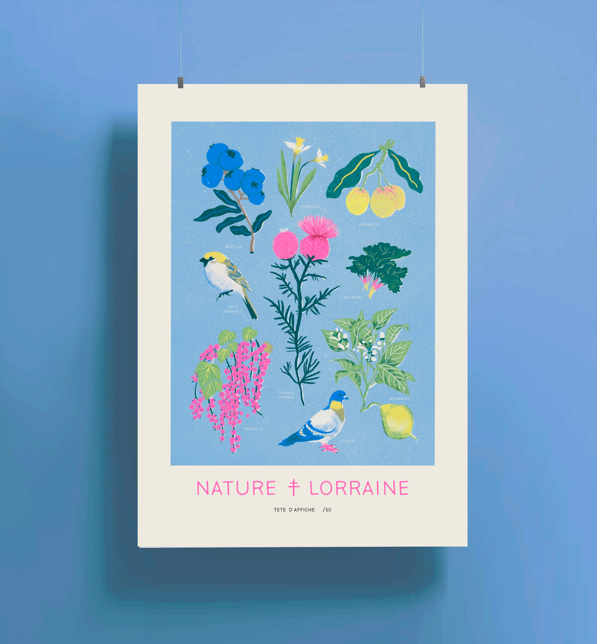 Affiche Nature Lorraine