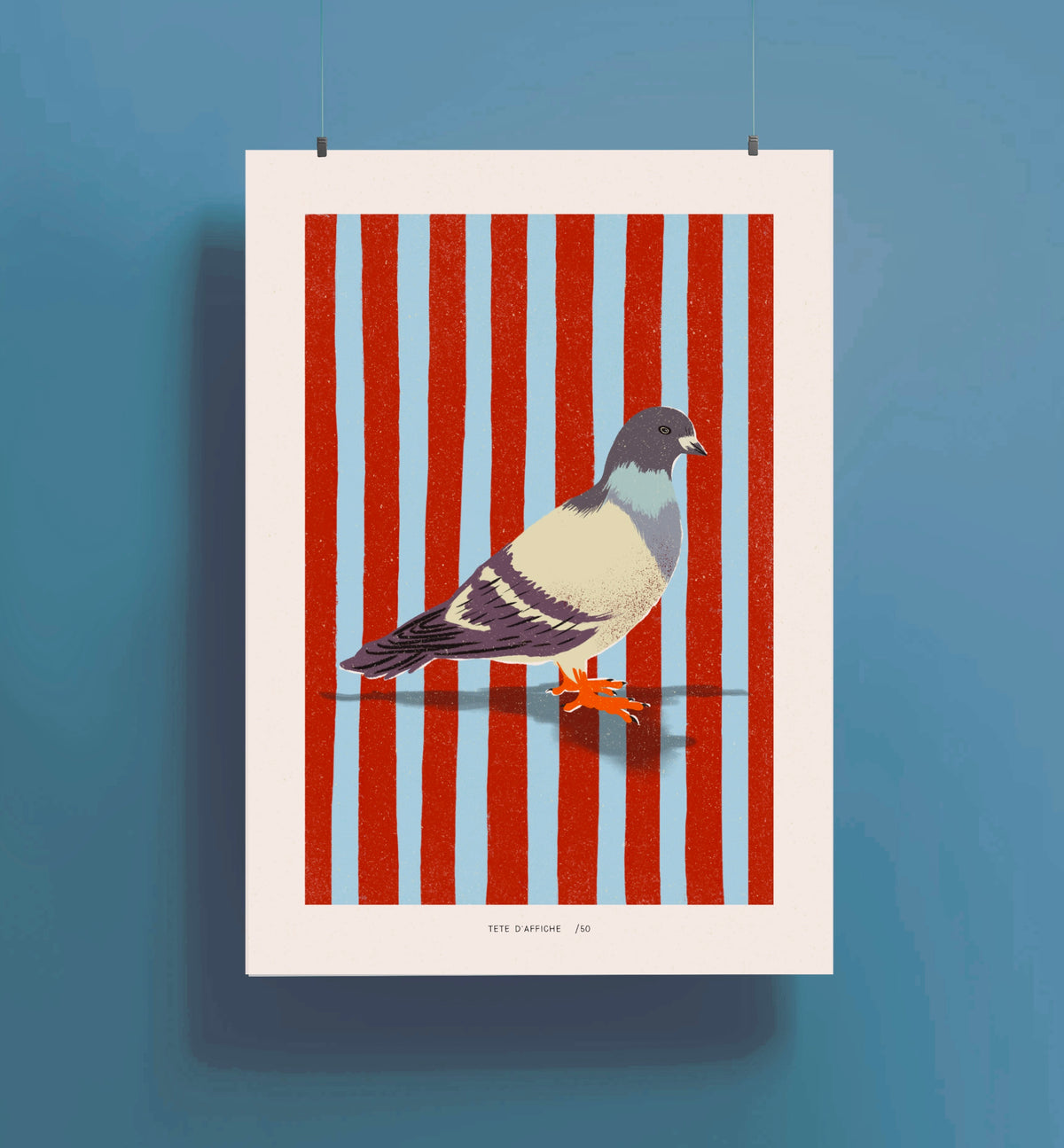 Pigeon